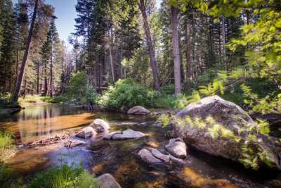 Upper Truckee